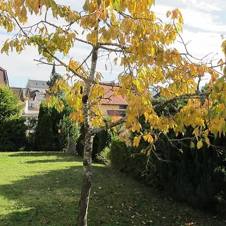 Lägenhet Hauspircher Reith bei Seefeld